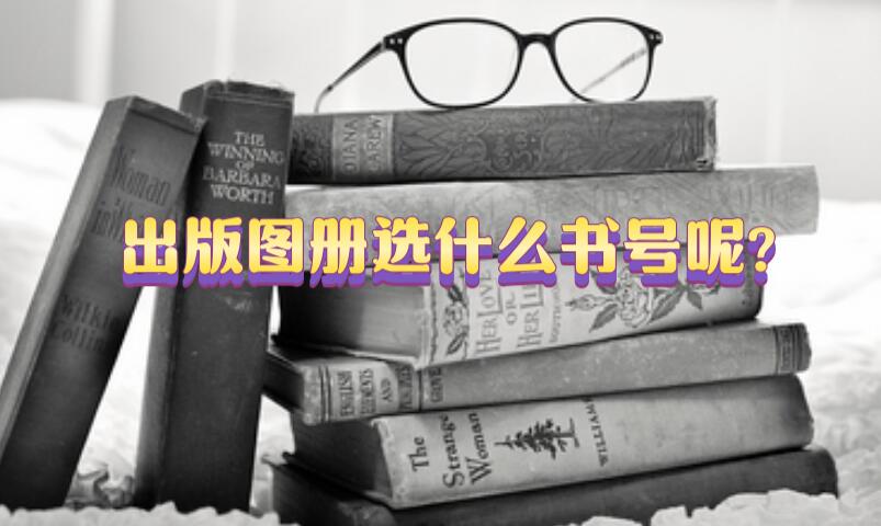 出版圖冊選什么書號呢?